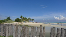 Enlarge photo 4059