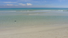 Enlarge photo 4069