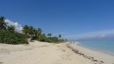 Enlarge photo 4070