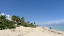 Enlarge photo 4071