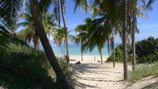 Enlarge photo 4073
