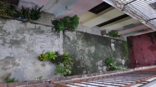 Enlarge photo 813