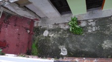 Enlarge photo 819