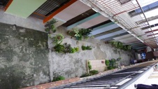 Enlarge photo 818