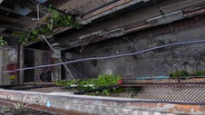Enlarge photo 743