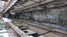 Enlarge photo 747