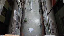 Enlarge photo 756