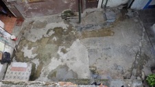 Enlarge photo 435