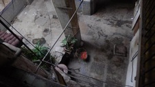 Enlarge photo 396