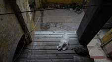 Enlarge photo 355