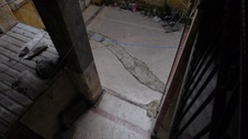 Enlarge photo 356