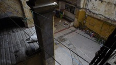 Enlarge photo 362