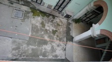 Enlarge photo 627
