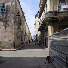 Enlarge photo 3450
