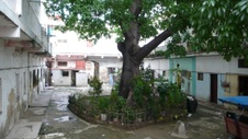 Enlarge photo 935