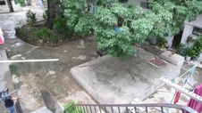 Enlarge photo 939