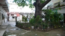 Enlarge photo 943