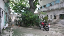 Enlarge photo 944