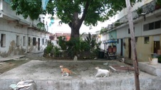 Enlarge photo 947