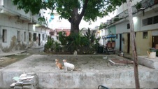 Enlarge photo 949