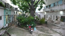 Enlarge photo 950