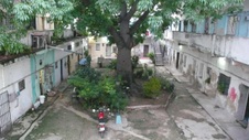 Enlarge photo 951