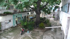Enlarge photo 952