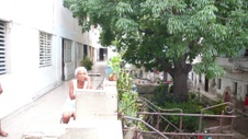 Enlarge photo 954