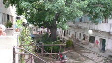 Enlarge photo 953