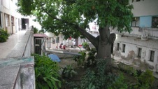Enlarge photo 956