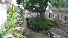 Enlarge photo 957