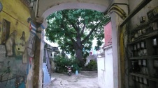 Enlarge photo 958