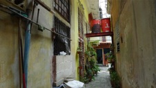 Enlarge photo 833