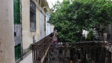 Enlarge photo 847