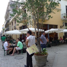 Enlarge photo 2961