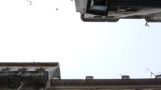 Enlarge photo 451