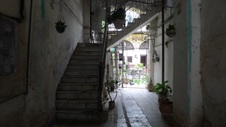 Enlarge photo 463