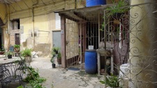 Enlarge photo 467