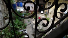 Enlarge photo 487