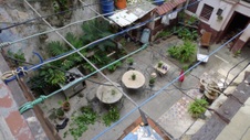 Enlarge photo 494