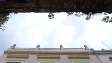 Enlarge photo 641