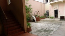 Enlarge photo 651