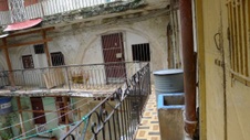 Enlarge photo 557