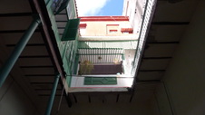 Enlarge photo 773