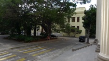 Enlarge photo 4305