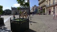 Enlarge photo 1377