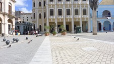 Enlarge photo 1077