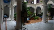 Enlarge photo 3245