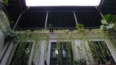 Enlarge photo 3108