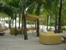 Enlarge photo 55